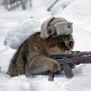 Владимир Скворцов