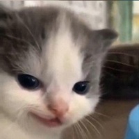 Даниил Леонович