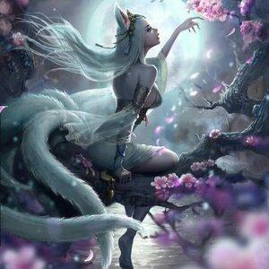 Kitsune