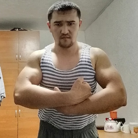 Bot Best
