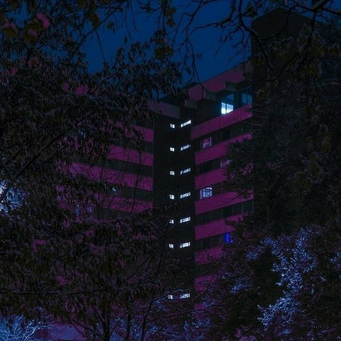 Тимур Тимур