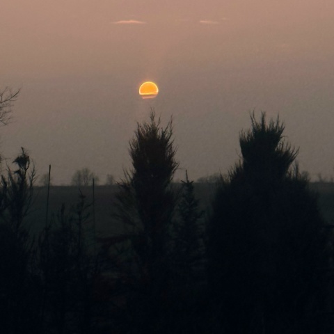 Владимир Высоцкий