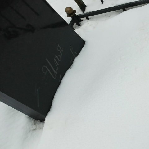 Илья Заркуа