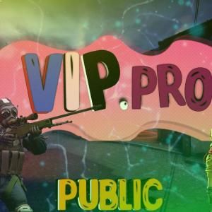 VIP.pro статус на сервере проекта: «Играй и наслаждайся! +18 © Public».