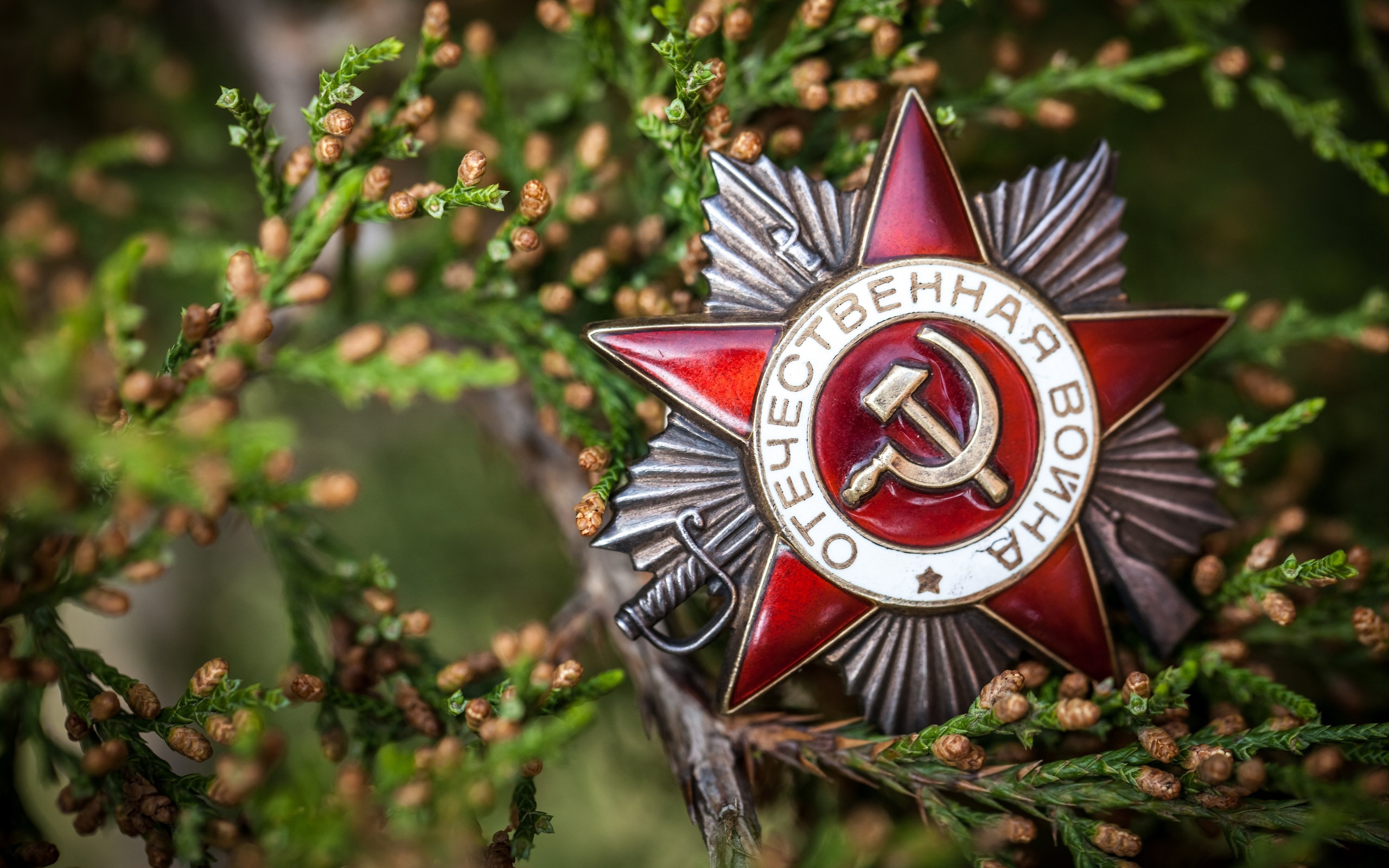 К 9 Мая — специальные предложения: скидки 40% на всё!